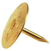 Stabilit Sarı Renkte Metal Raptiye