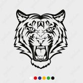 Sticker Masters Kaplan Araba Oto Sticker