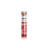Sunlife - Multi +Ginseng - 20 Tablet