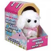 Sunman Sevimli Köpek Maltese