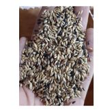 Süper Karışık Kanarya Yemi 1 Kg