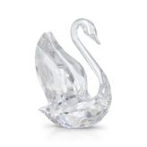 Swarovski 5613255 Biblo