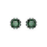 Swarovski 5660801 Kadın Küpe