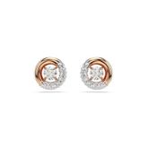 Swarovski 5692258 Dextera Pe Stud Cry-Ros Küpe