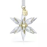 Swarovski 5701506 Annual Edition Ornament 3D 2025 Ev Dekorasyonu