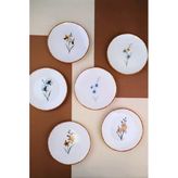 Tabak Evi Porselen Azelya Karma Pasta Tabağı Seti 19,50CM 6 Kişilik 6 Parça