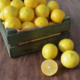 Taber 3 Yaş Aşılı Tatlı Limon Fidanı, Torbada