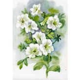 Tablolife Petunya 60x90 cm Kanvas Tablo