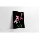 Tablosan Pembe Çiçek Kanvas Tablo 70 X 90 Cm Kb03053