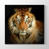 Tabloshop Asil Kaplan Yağlıboya 50x50 cm Tablo