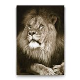 Tabloshop Aslan 80x125 cm Tablo
