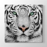 Tabloshop Beyaz Kaplan 40x40 cm Tablo