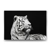 Tabloshop Beyaz Kaplan Profil 45x30 cm Tablo