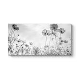 tabloshop Cosmos Çiçeği Kanvas Tablo 100 x 50