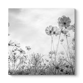 tabloshop Cosmos Çiçeği Kanvas Tablo 90 x 90
