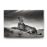Tabloshop Dişi Aslan 125x80 cm Tablo