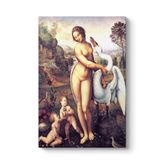tabloshop Female Kanvas Tablo 30 x 45