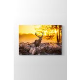 Tabloshop Geyik 90x60 cm Tablo