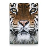 Tabloshop Kaplan Yüzü 60x90 cm Tablo