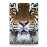Tabloshop Kaplan Yüzü 70x100 cm Tablo