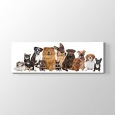 Tabloshop Köpek Irkları 180x60 cm Tablo