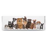 Tabloshop Köpek Irkları 90x30 cm Tablo