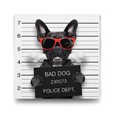 Tabloshop Kötü Köpek 50x50 cm Tablo