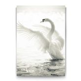 Tabloshop Kuğu 40x60 cm Tablo