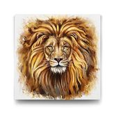 Tabloshop Leon 50x50cm Tablo