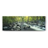 Tabloshop Orman Ağaçları 150x50 cm Tablo