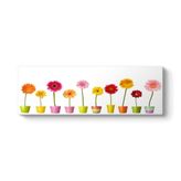 tabloshop Saksı Çiçekleri Panorama Tablo 90 x 30