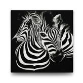 Tabloshop Siyah Beyaz Zebra 70x70 cm Tablo