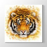 Tabloshop Soyut Kaplan Yağlıboya 70x70 cm Tablosu
