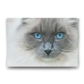 Tabloshop Van Kedisi 45x30 cm Tablo