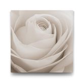 Tabloshop Yeşil Gözlü Beyaz Kaplan 60x60cm Tablosu