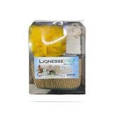 Tarko Lionesse Banyo Seti Bs-001 - Sarı