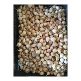 Taşköprü Sarımsağı Mürdük (tekdiş ) Sarımsak 1kg