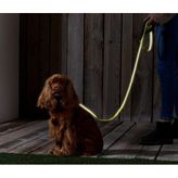 Tchibo Reflektörlü Köpek Tasması