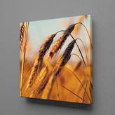 Technopa Başak Salkımı 70x70 cm Kanvas Tablo