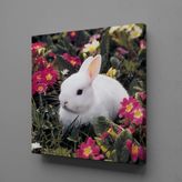 Technopa Beyaz Tavşan 100x100 cm Kanvas Tablo