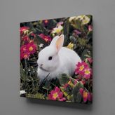 Technopa Beyaz Tavşan 70x70 cm Kanvas Tablo