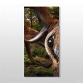 Technopa Geyik 140x210 cm Kanvas Tablo