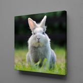 Technopa Gri Tavşan 40x40 cm Kanvas Tablo