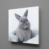 Technopa Gri Tavşan 60x60 cm Kanvas Tablo