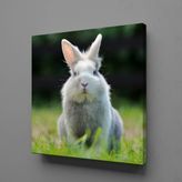 Technopa Gri Tavşan 80x80 cm Kanvas Tablo