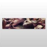 Technopa Hamster 240x80 cm Kanvas Tablo