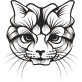 Technopa Kedi 20 cm Folyo Duvar Stickerı