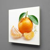 Technopa Mandalina 80x80 cm Kanvas Tablo