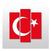 Technopa Türk Bayrak 120x130 cm Kanvas Tablo