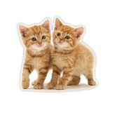 Tekir kedi turuncu yavru araba Sticker 18Cm Model2